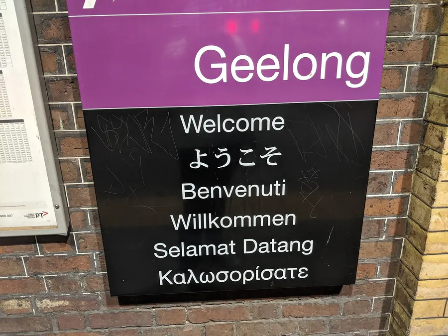 geelong seo digital marketing Agency